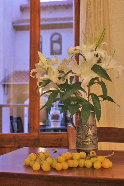 hotel booking agistro